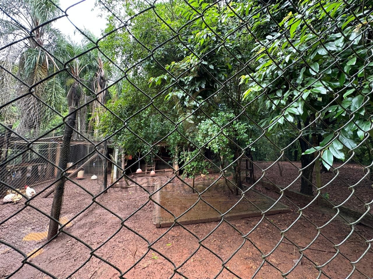 Chácara, 5 quartos - Foto 40