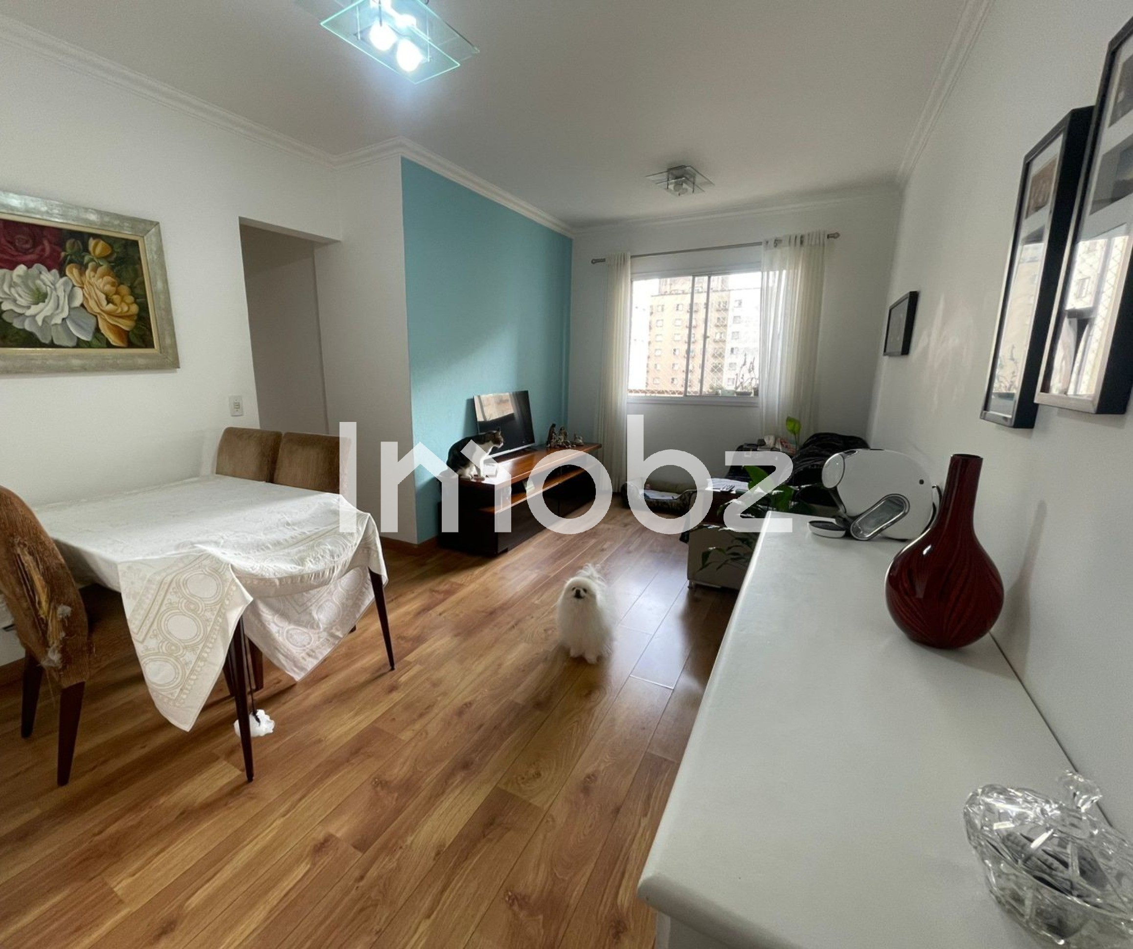 Apartamento à venda no Condomínio Parque Brasil - Giovanni Gronchi, 6675 - São Paulo - SP - CEP: 05724-005 - foto 1