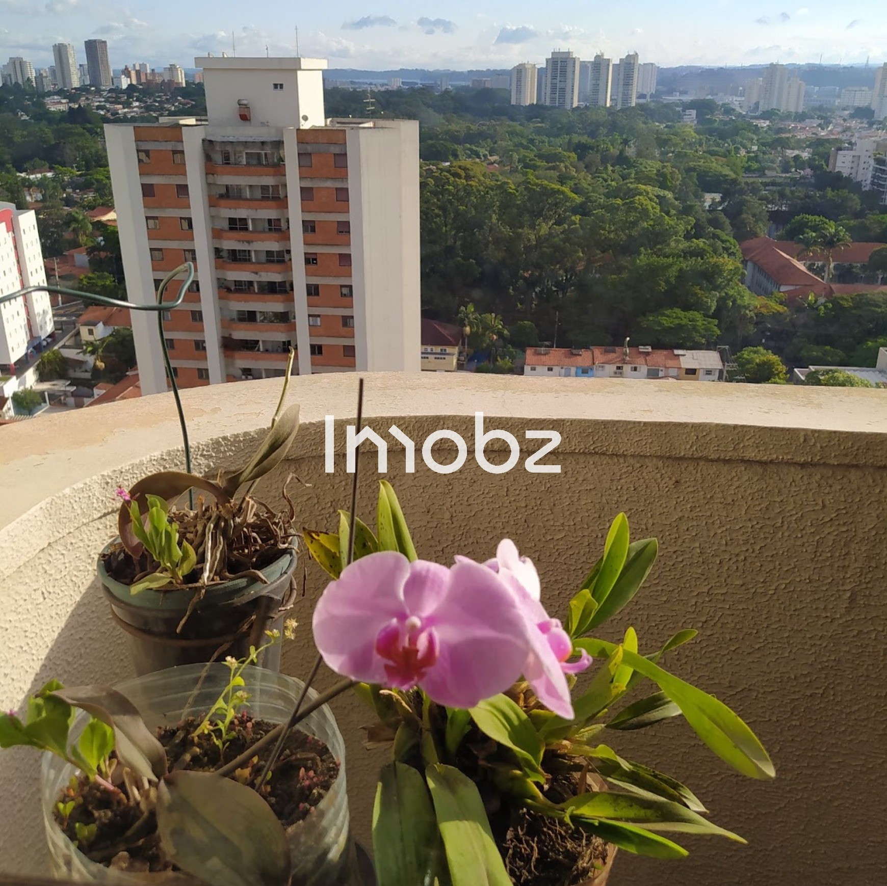 Apartamento à venda na RUA ALEXANDRE DUMAS, 1300 - CHÁCARA SANTO ANTÔNIO (ZONA SUL) - São Paulo - SP - foto 5