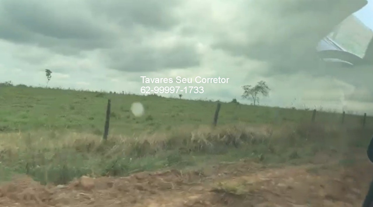 Fazenda - Foto 8