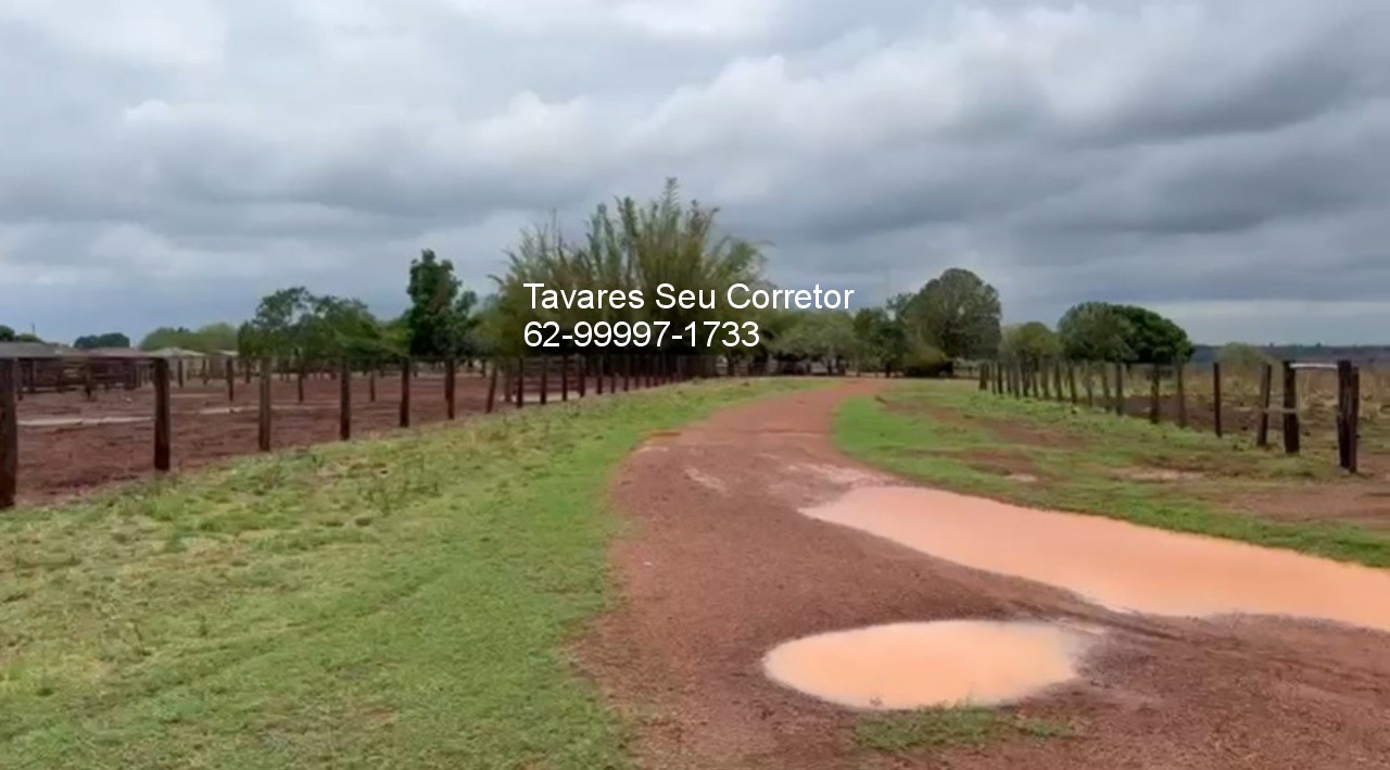 Fazenda - Foto 2