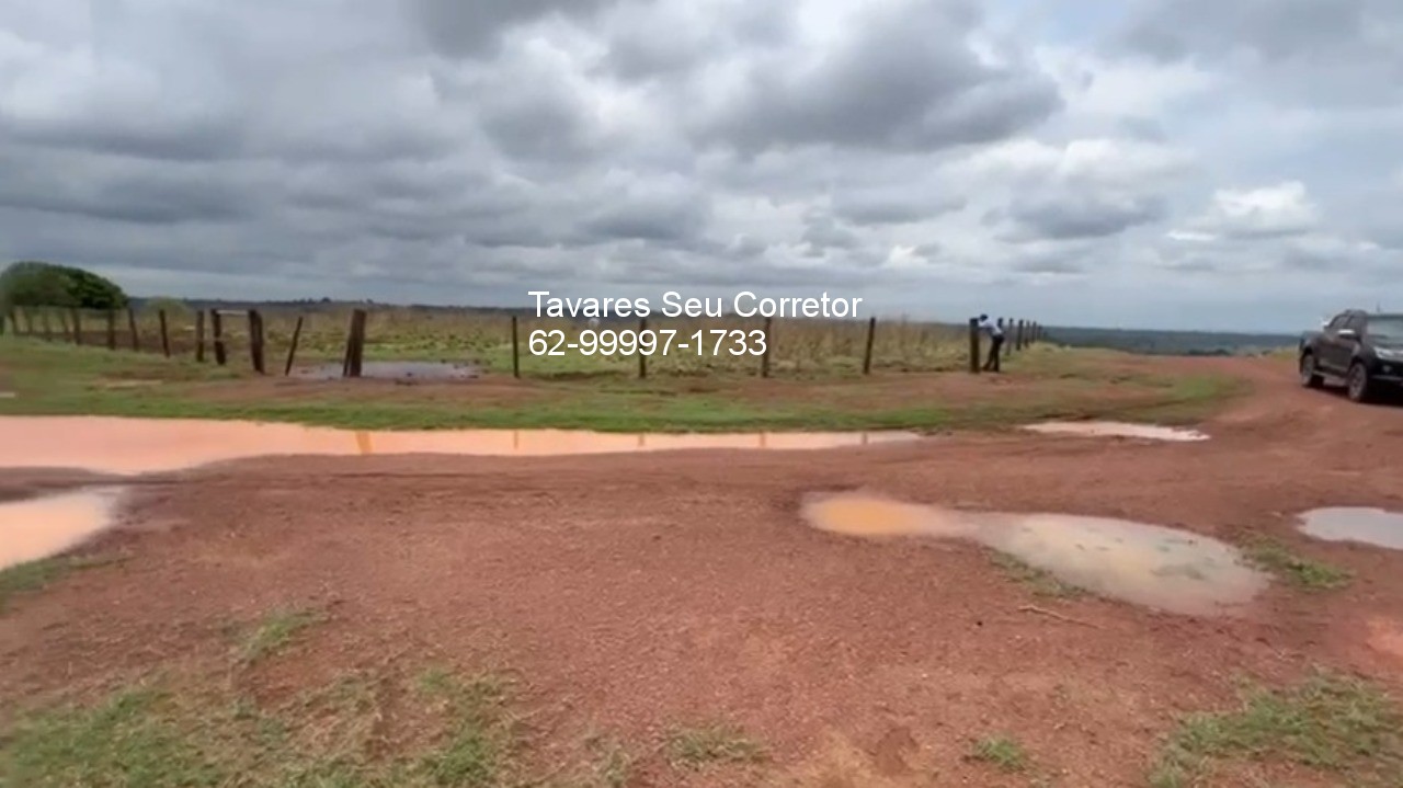 Fazenda - Foto 6