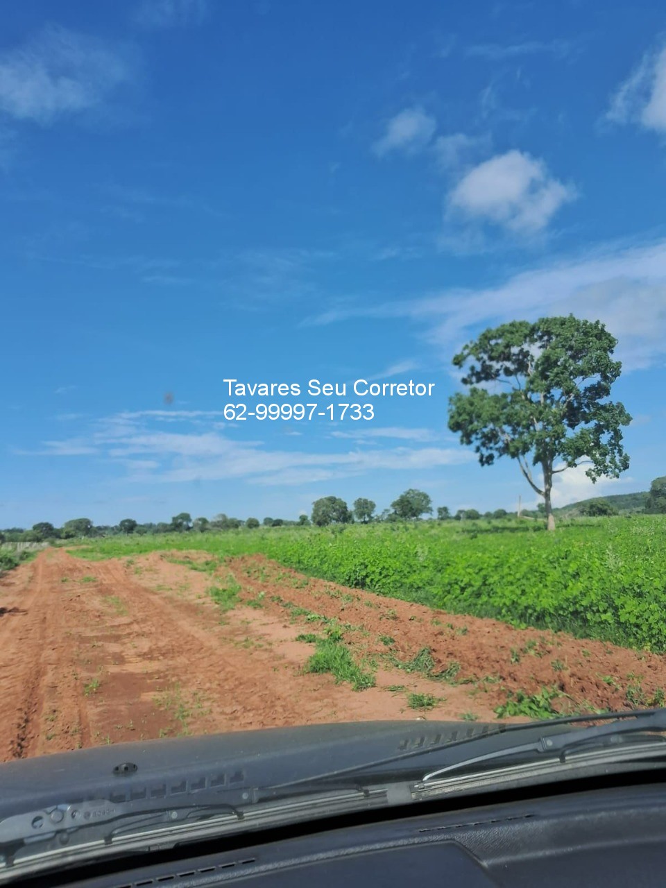 Fazenda - Foto 18