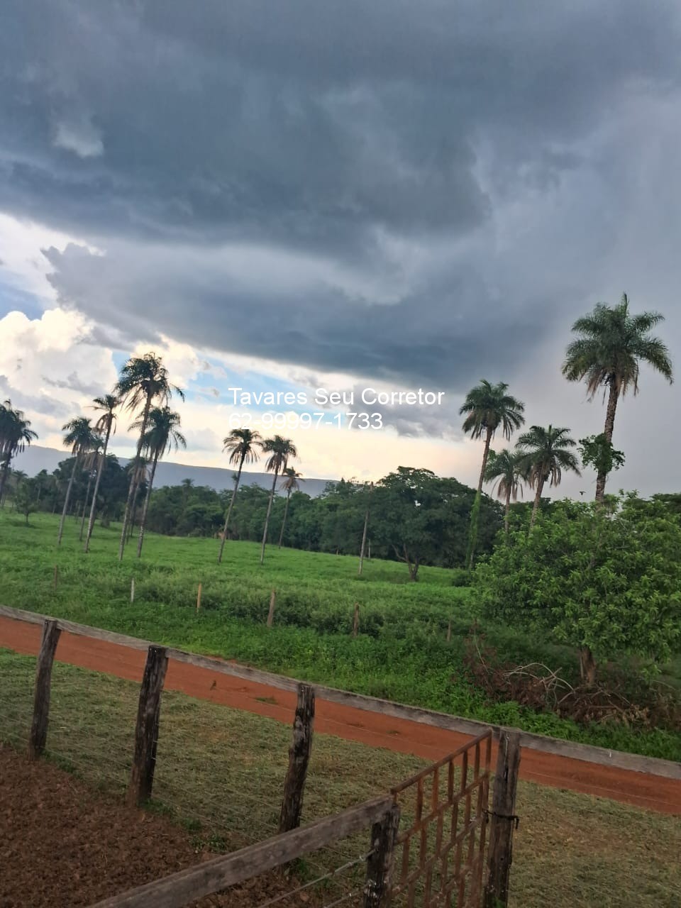 Fazenda - Foto 4