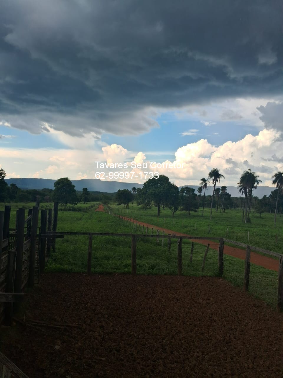 Fazenda - Foto 9