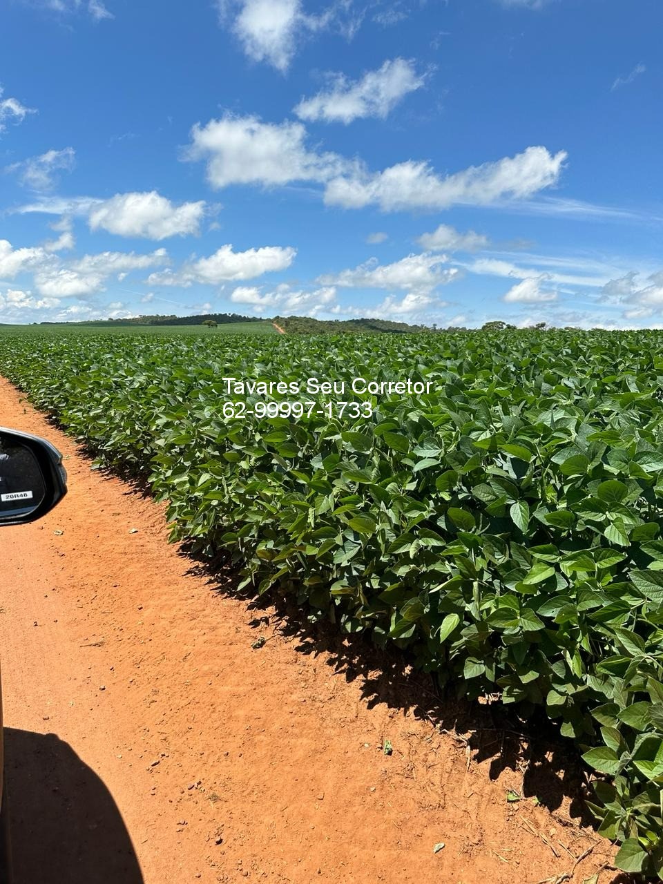 Fazenda - Foto 8
