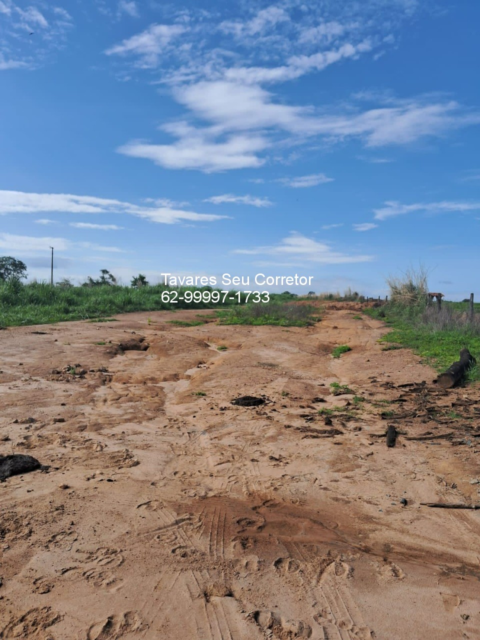 Fazenda - Foto 16