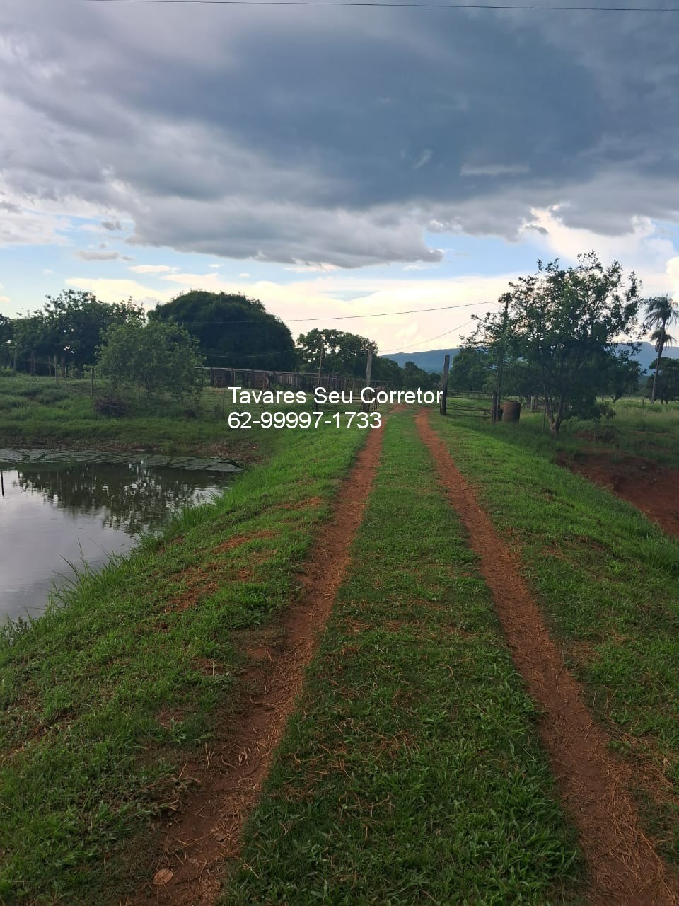 Fazenda - Foto 6