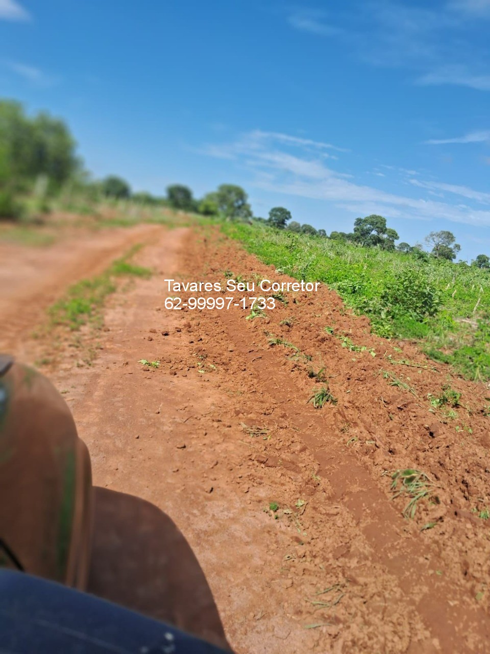 Fazenda - Foto 20