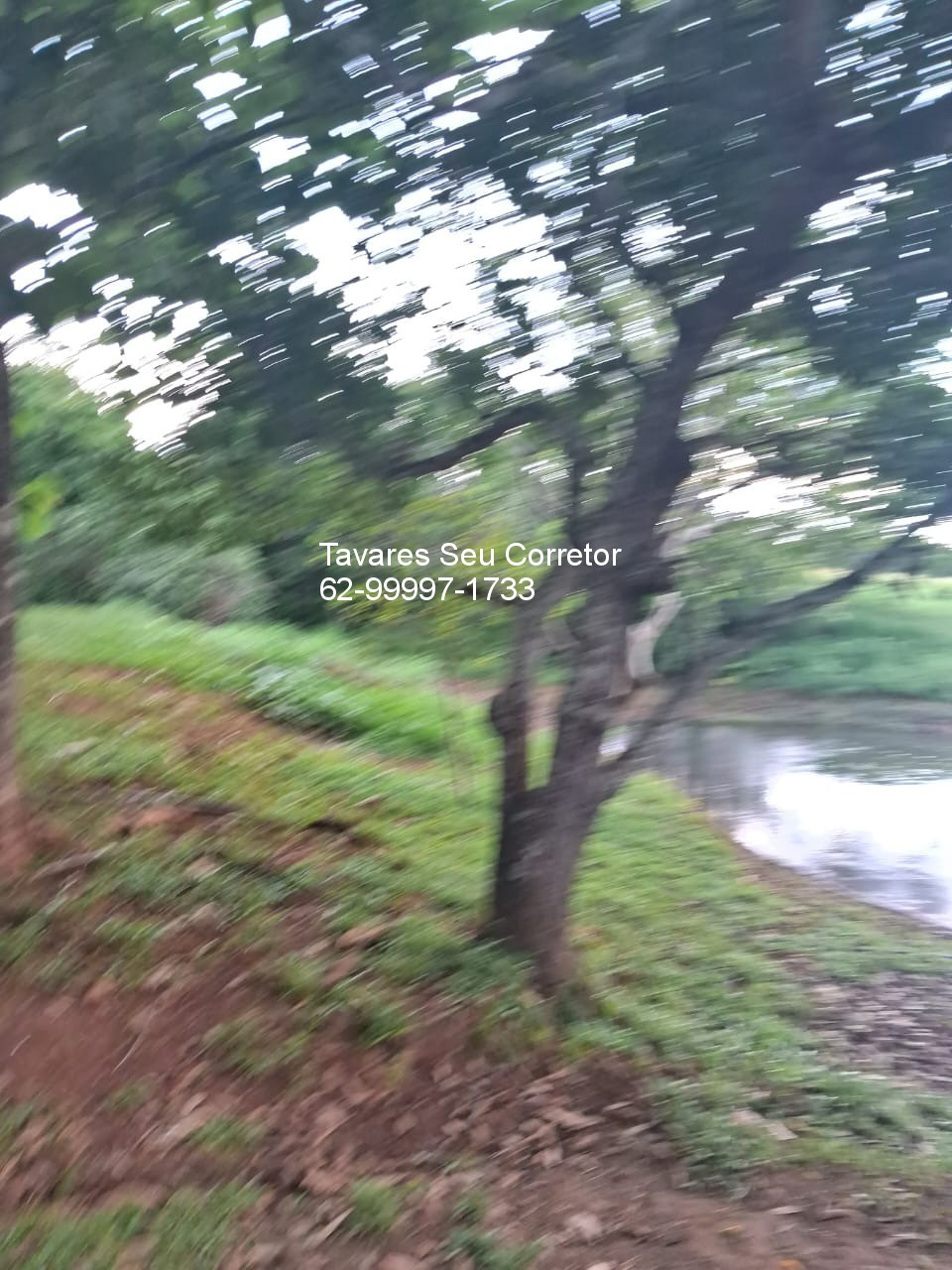 Fazenda - Foto 3