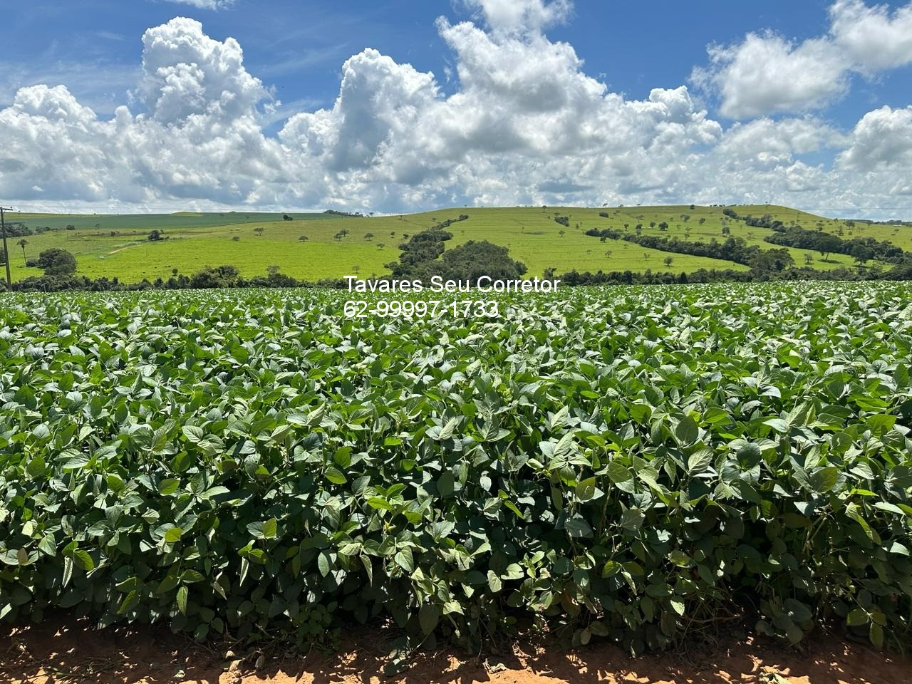 Fazenda - Foto 2