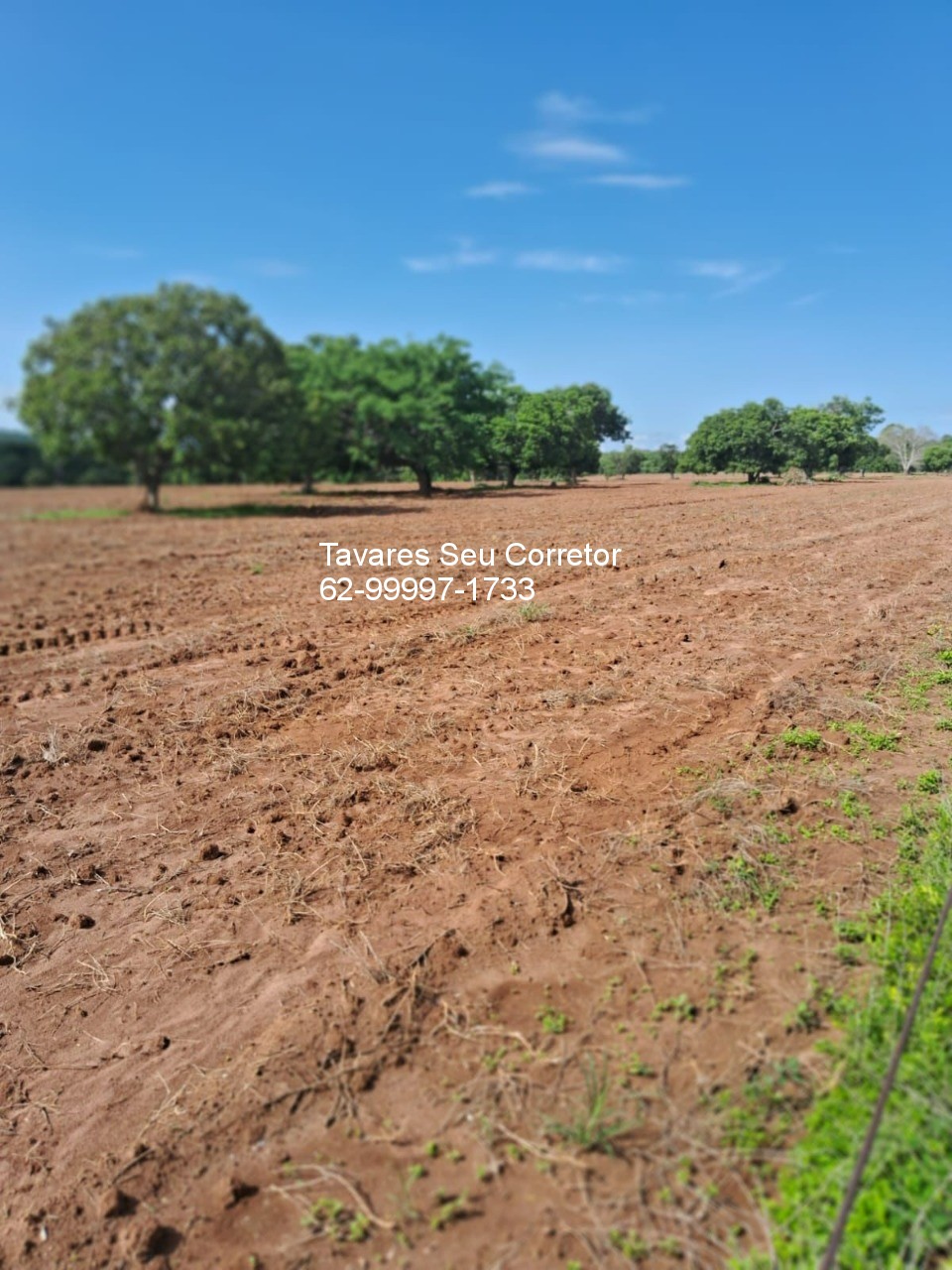 Fazenda - Foto 23