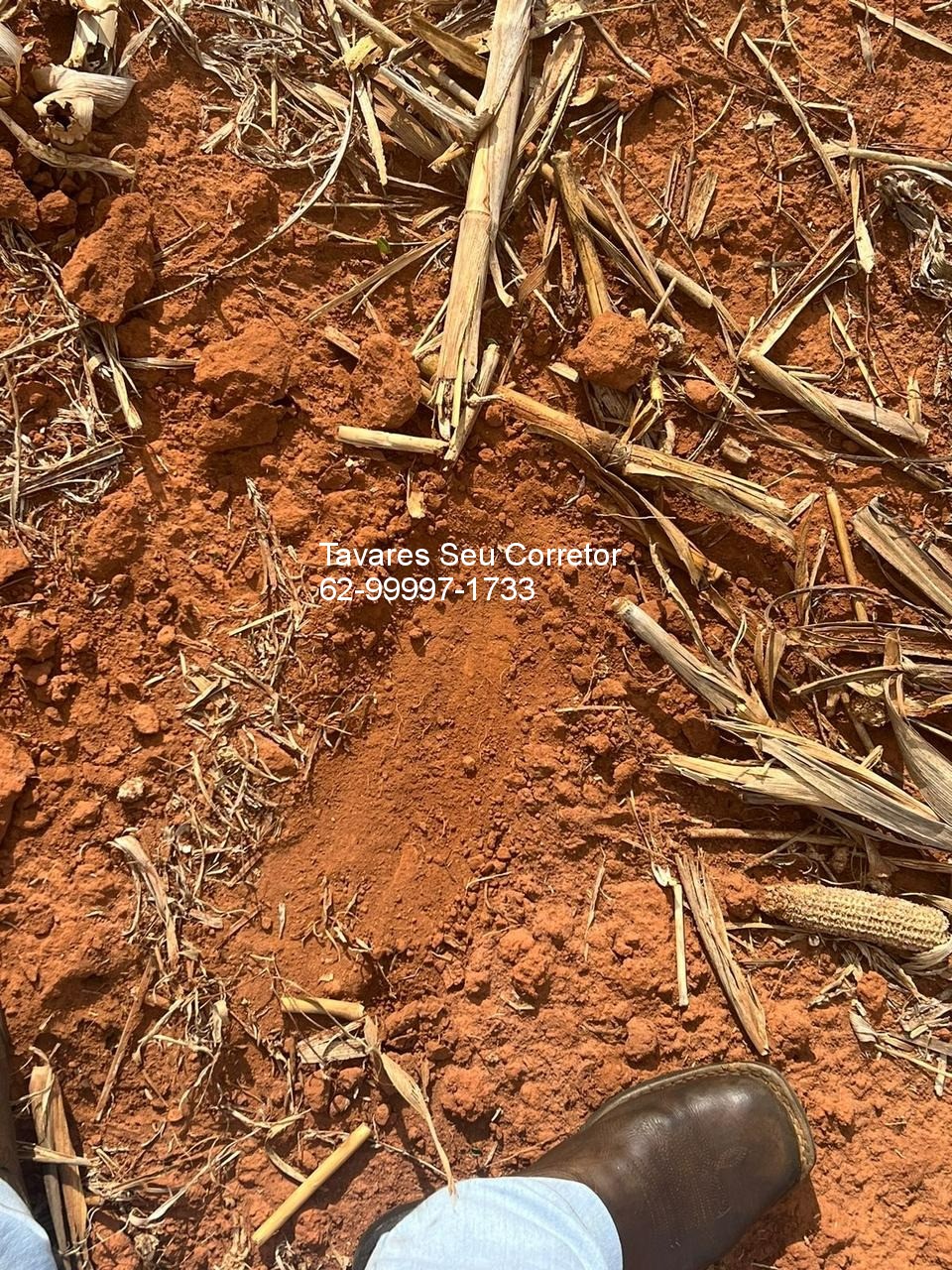 Fazenda - Foto 11