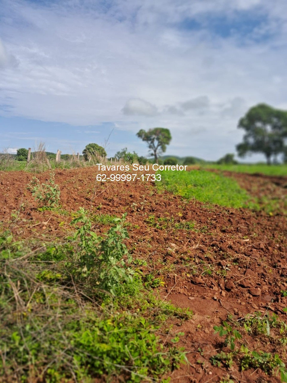 Fazenda - Foto 22