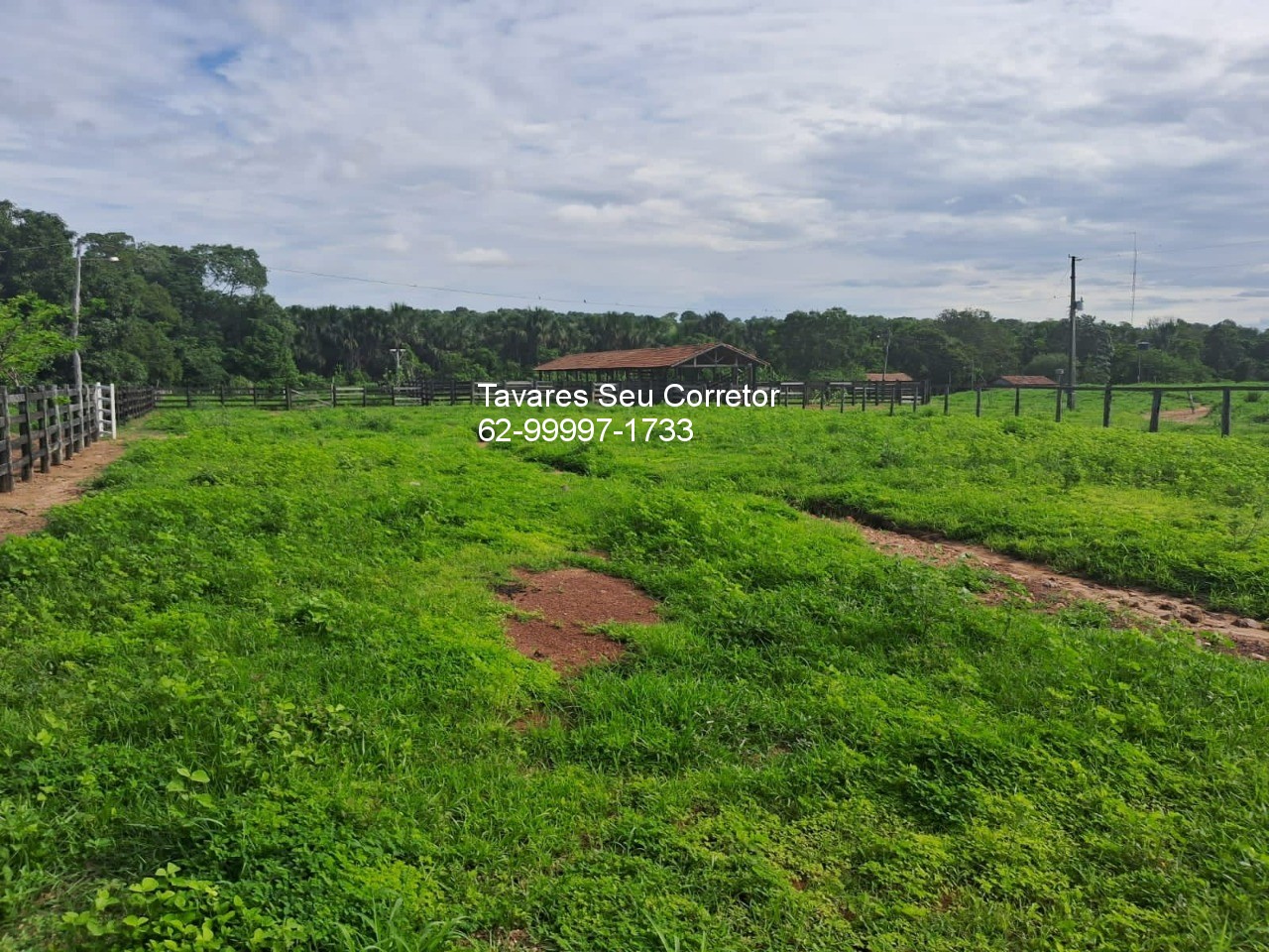 Fazenda - Foto 2