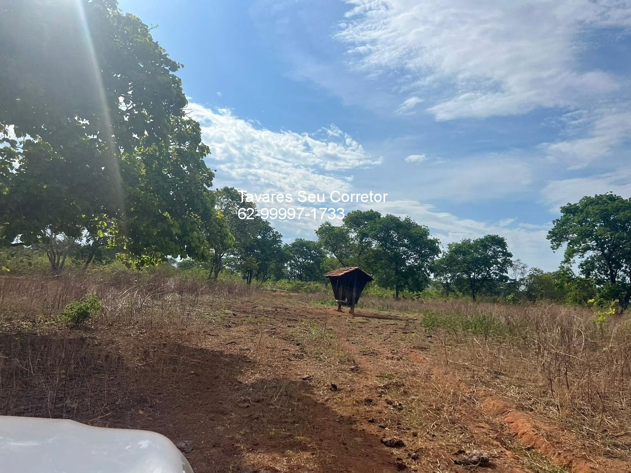 Fazenda - Foto 5