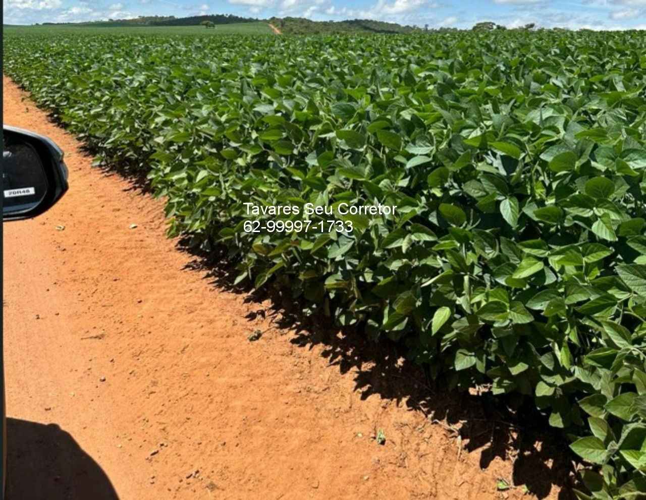 Fazenda - Foto 9