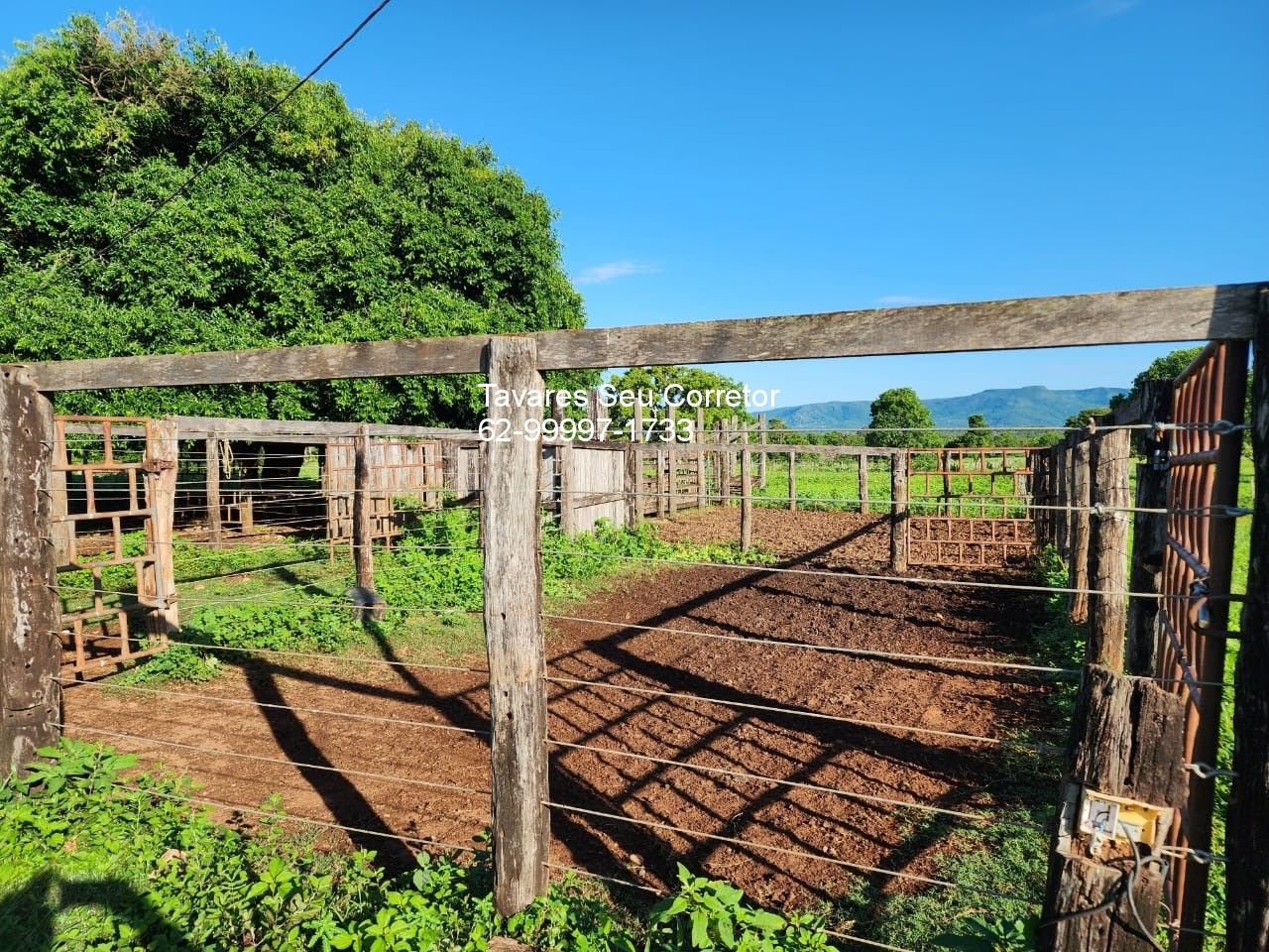 Fazenda - Foto 10