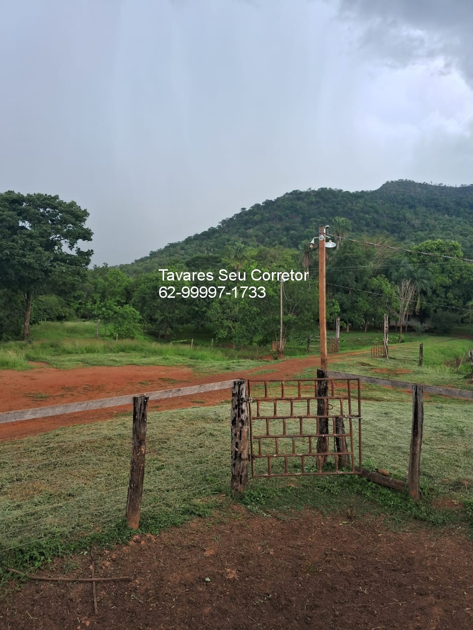 Fazenda - Foto 5
