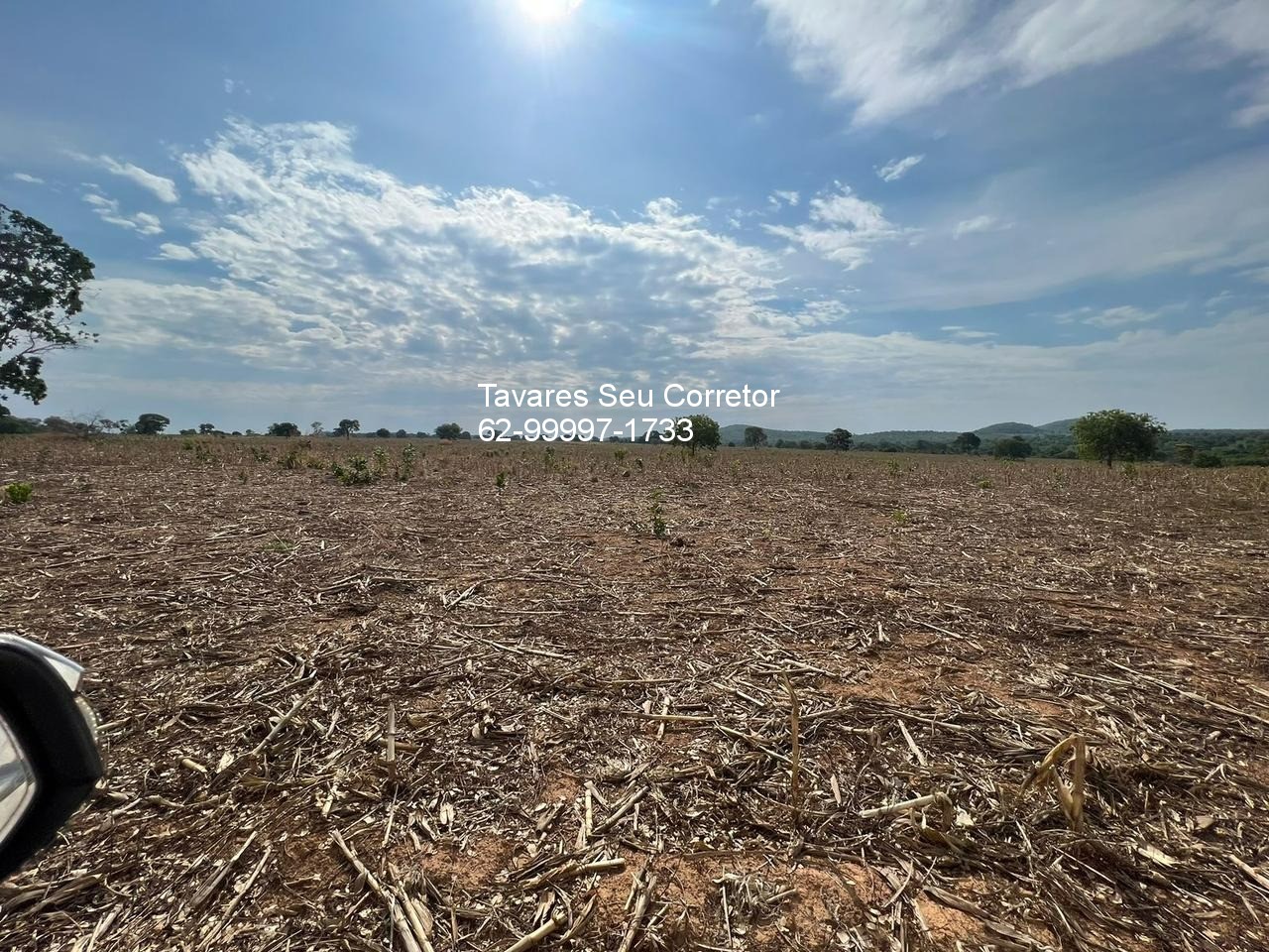 Fazenda - Foto 7