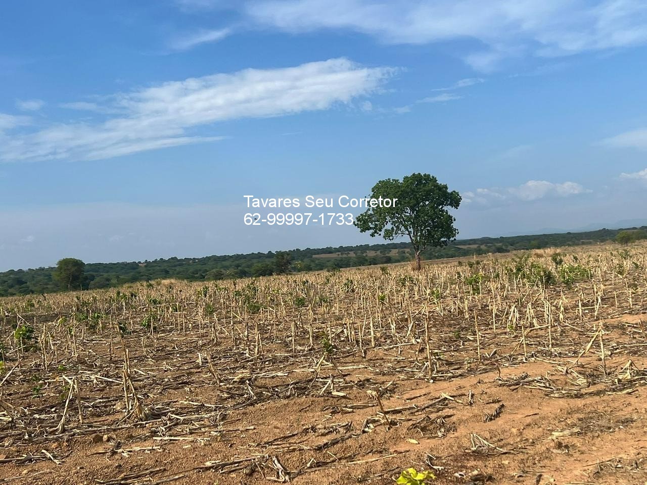 Fazenda - Foto 8