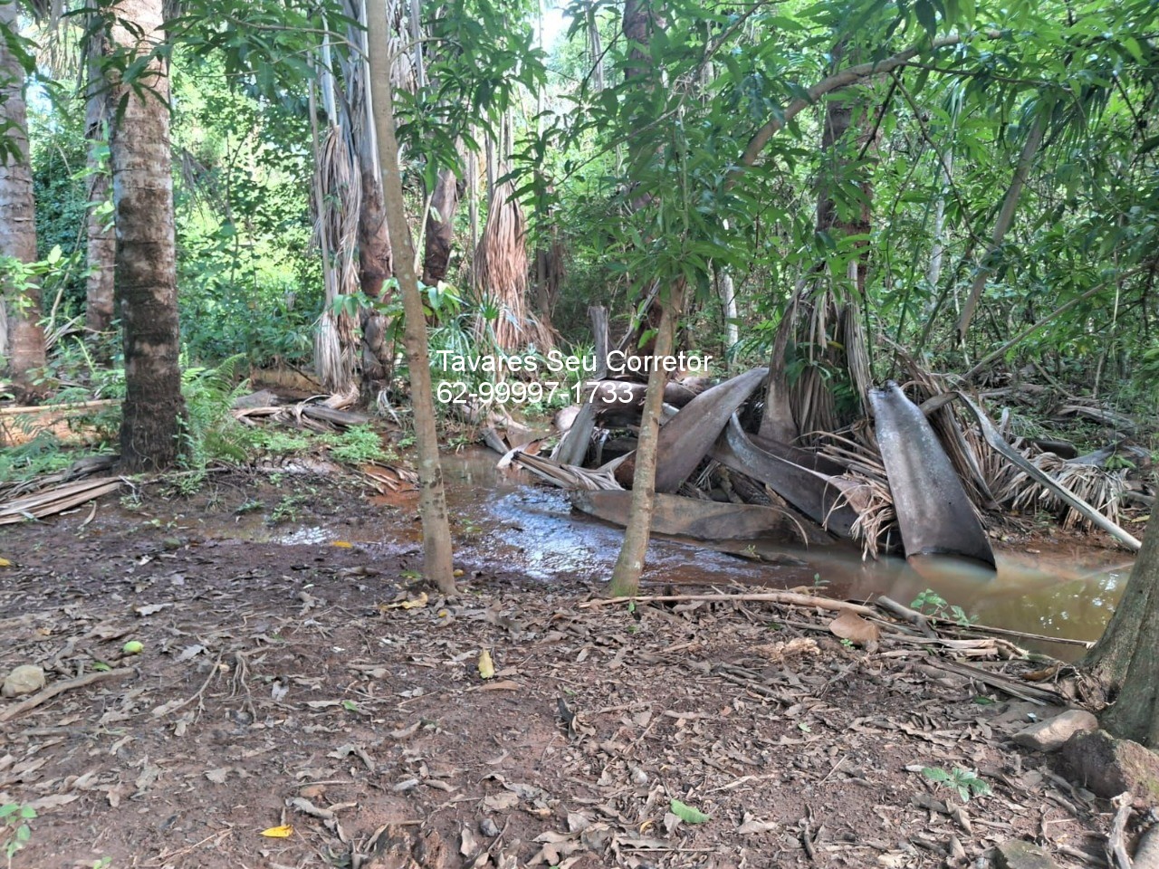 Fazenda - Foto 15