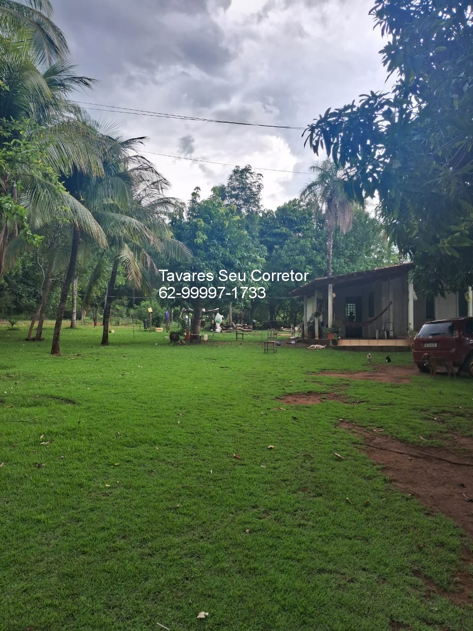 Fazenda - Foto 7