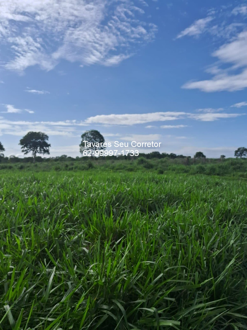 Fazenda - Foto 17