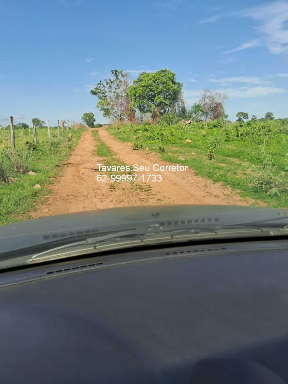 Fazenda - Foto 19