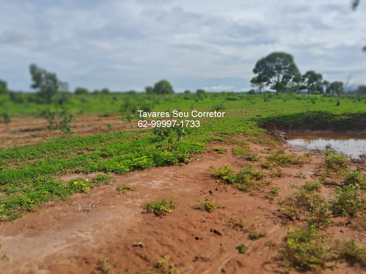 Fazenda - Foto 25