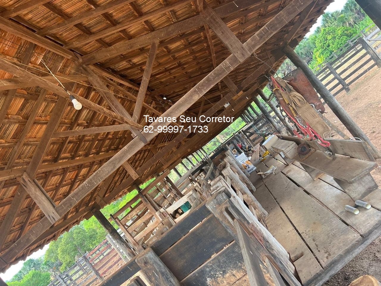 Fazenda - Foto 24