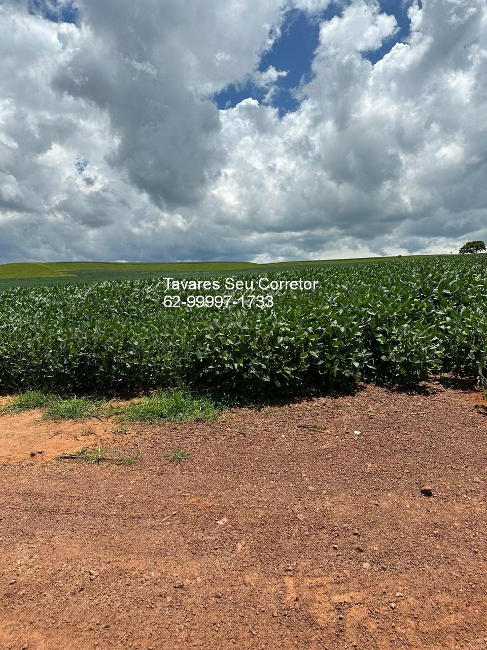 Fazenda - Foto 3