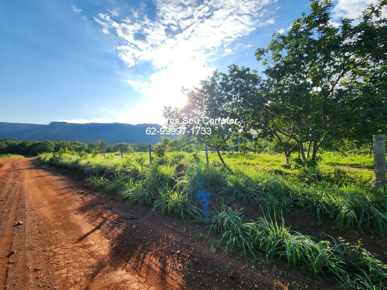Fazenda - Foto 1