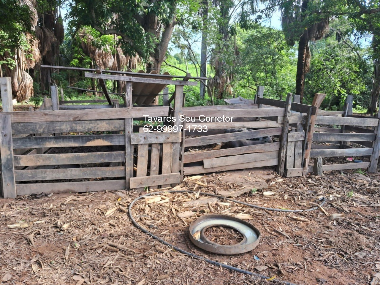 Fazenda - Foto 13