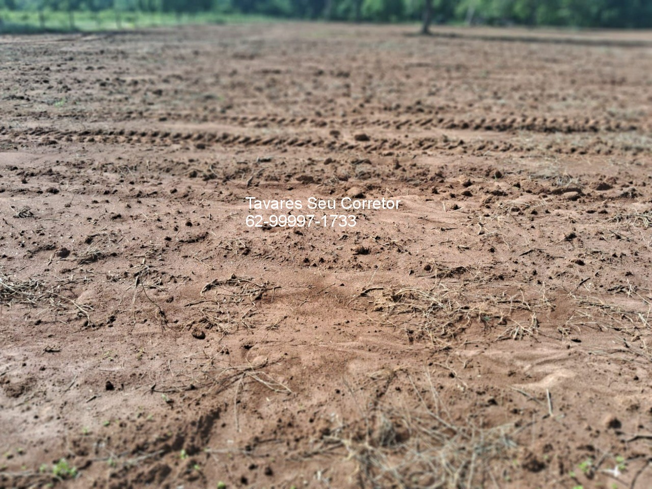 Fazenda - Foto 21