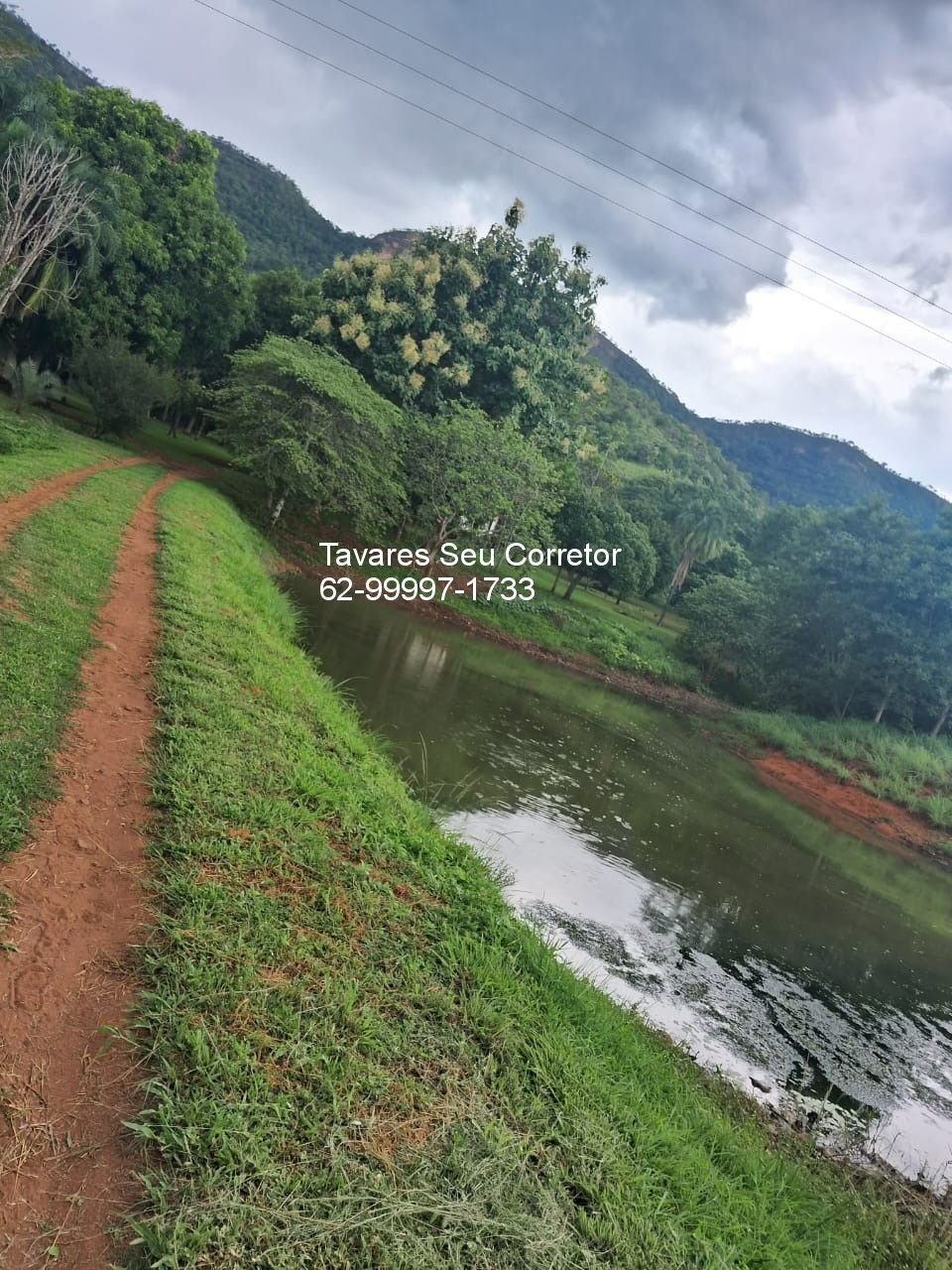 Fazenda - Foto 2