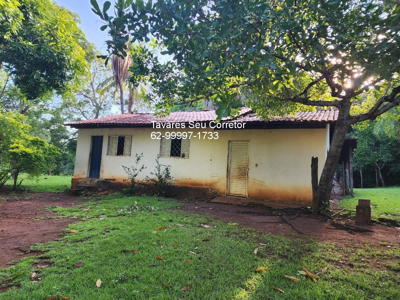 Fazenda - Foto 8