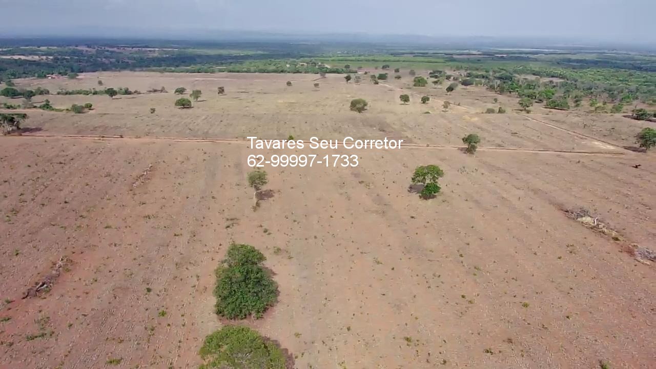 Fazenda - Foto 3