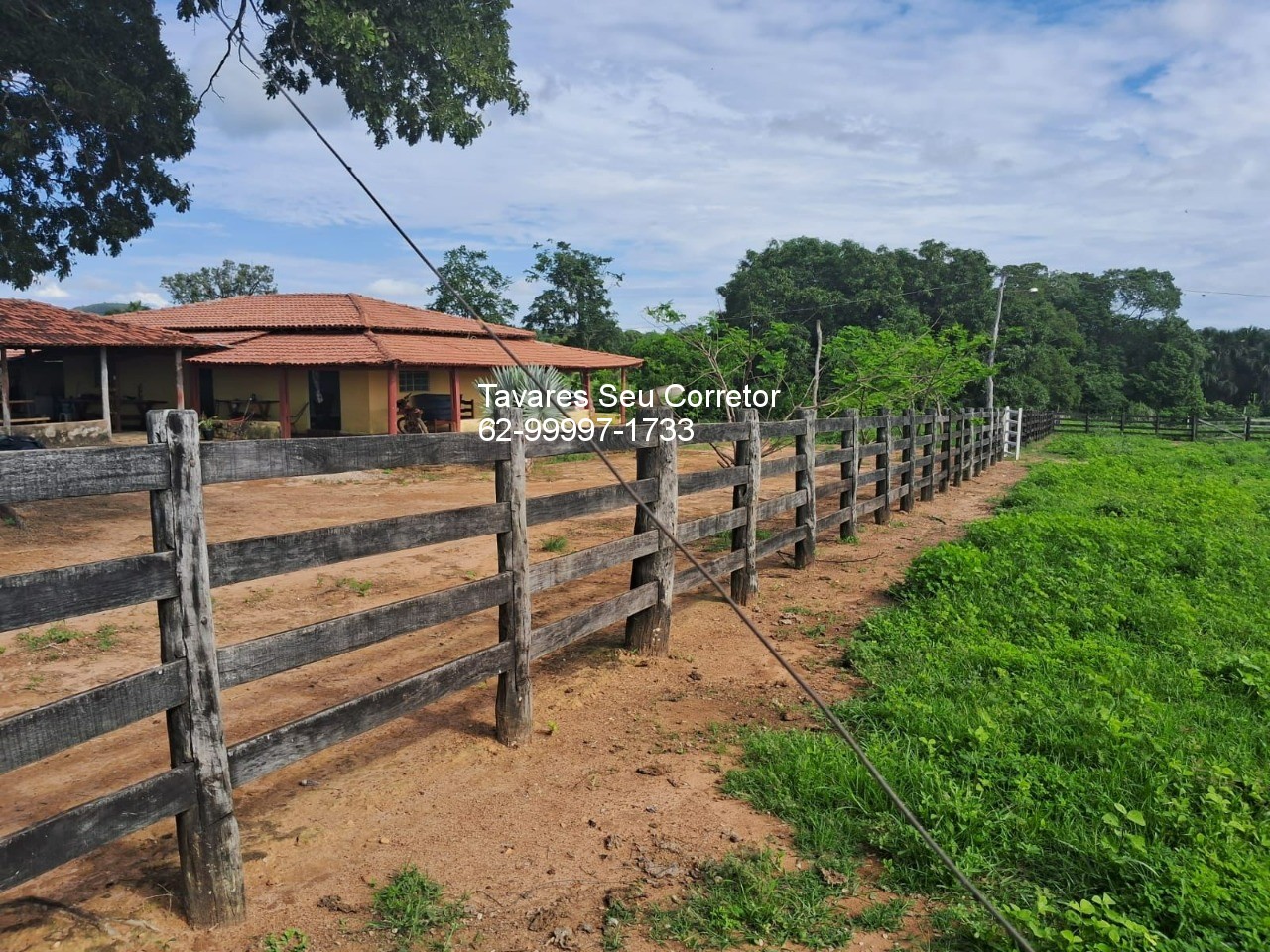 Fazenda - Foto 1