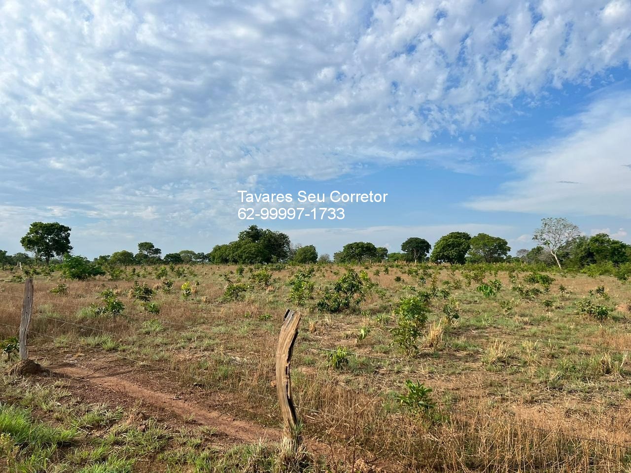 Fazenda - Foto 12