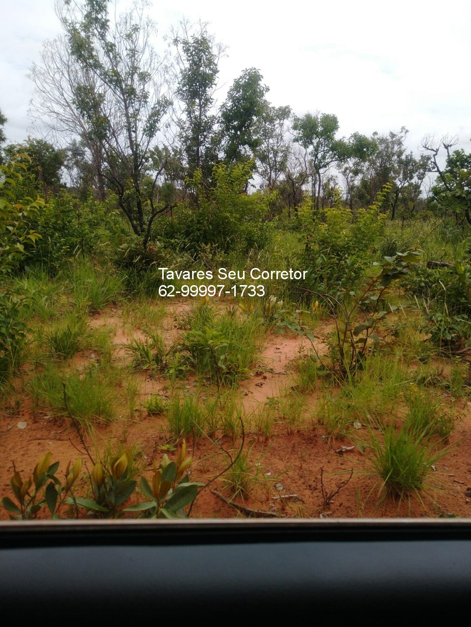 Fazenda - Foto 14