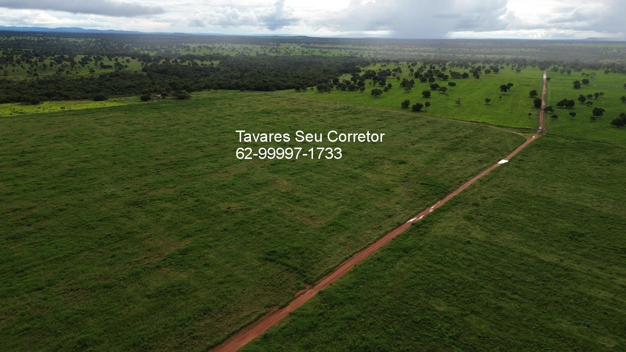Fazenda - Foto 4