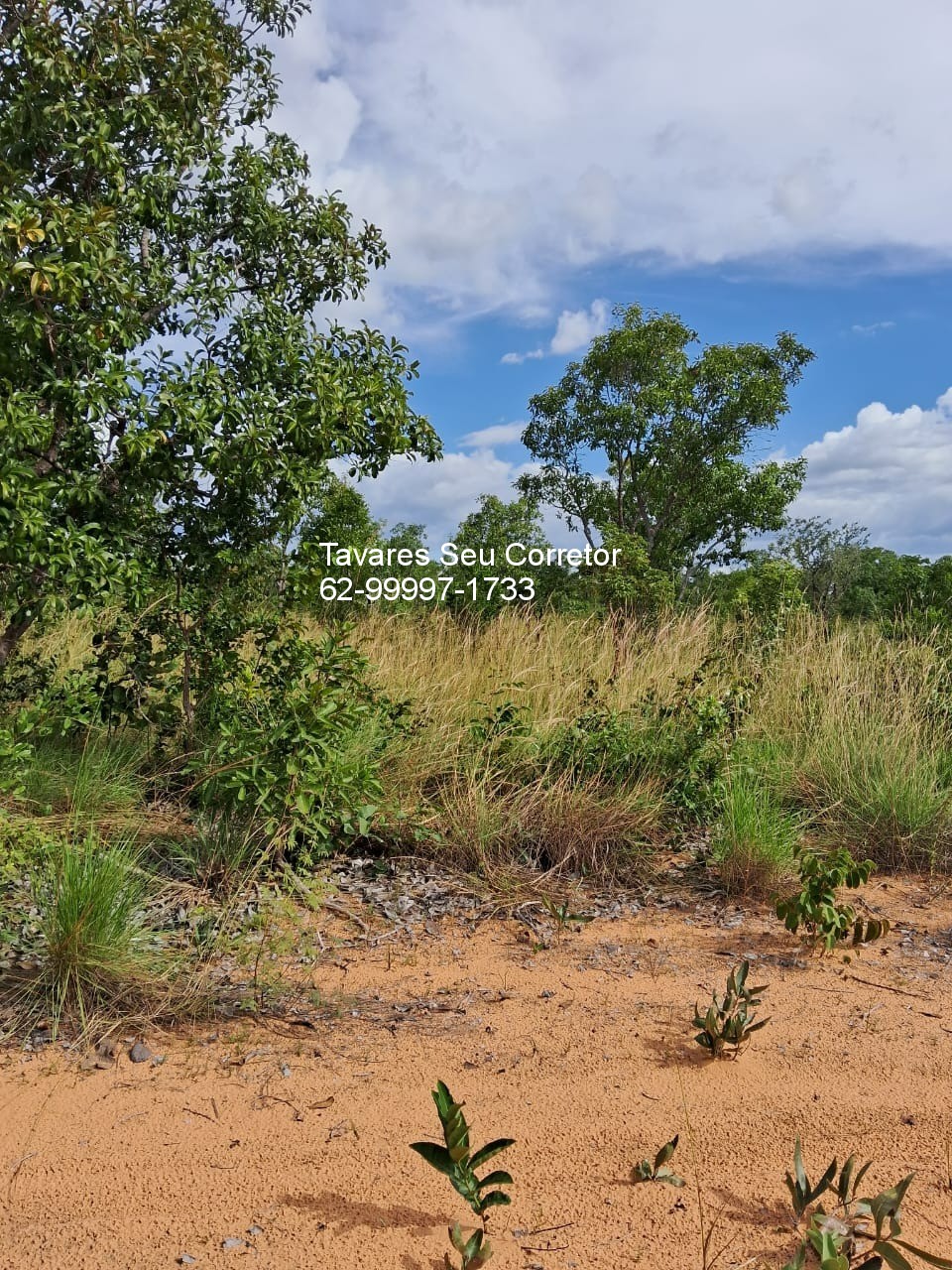 Fazenda - Foto 4