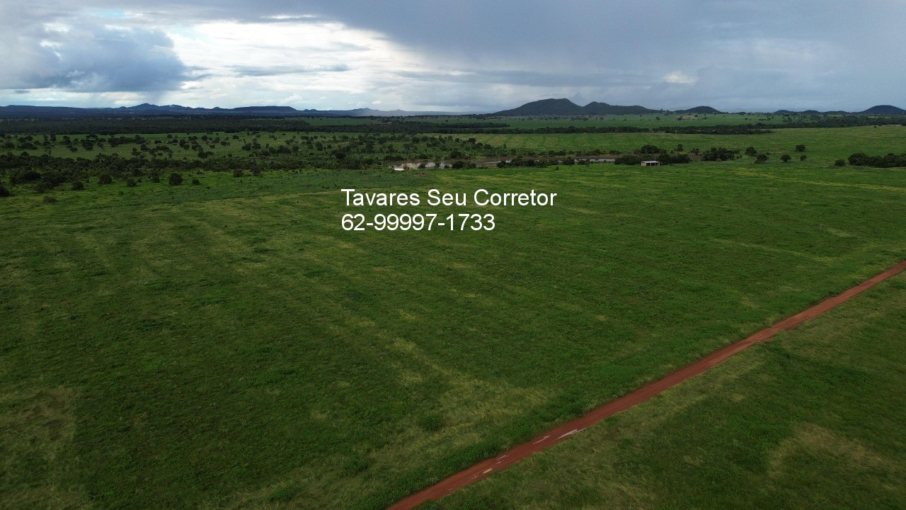 Fazenda - Foto 5