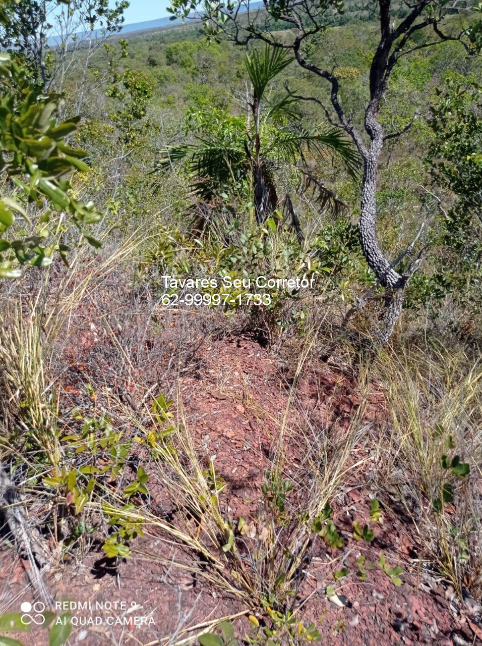 Fazenda - Foto 12