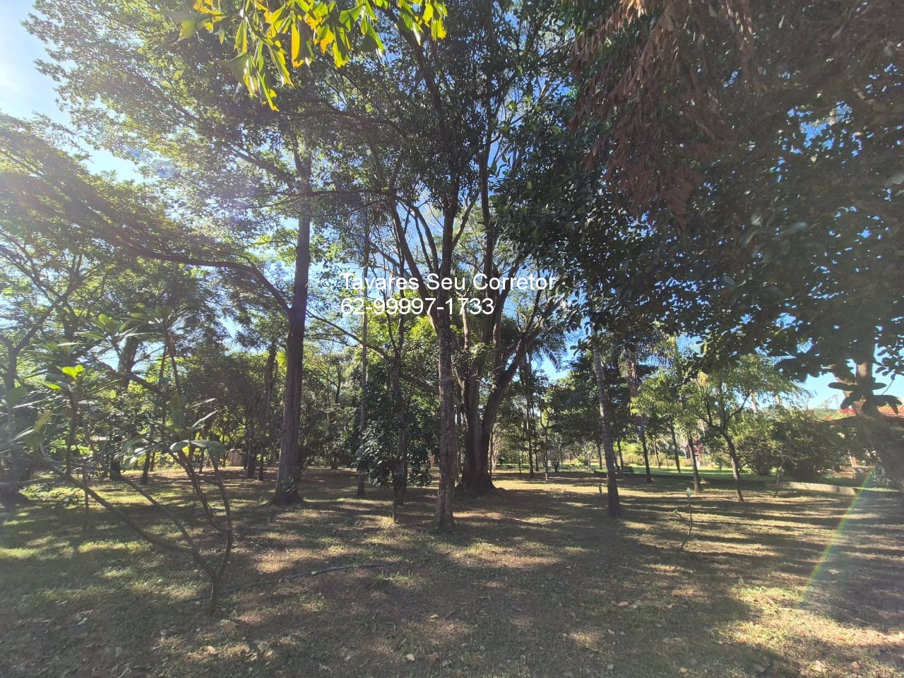 Chácara, 3 quartos - Foto 26