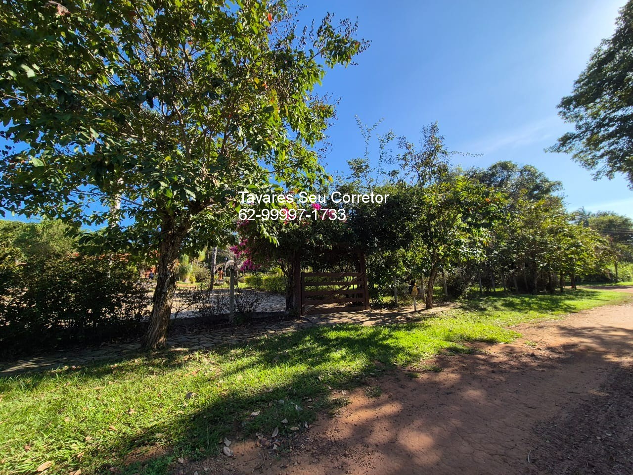 Chácara, 3 quartos - Foto 4