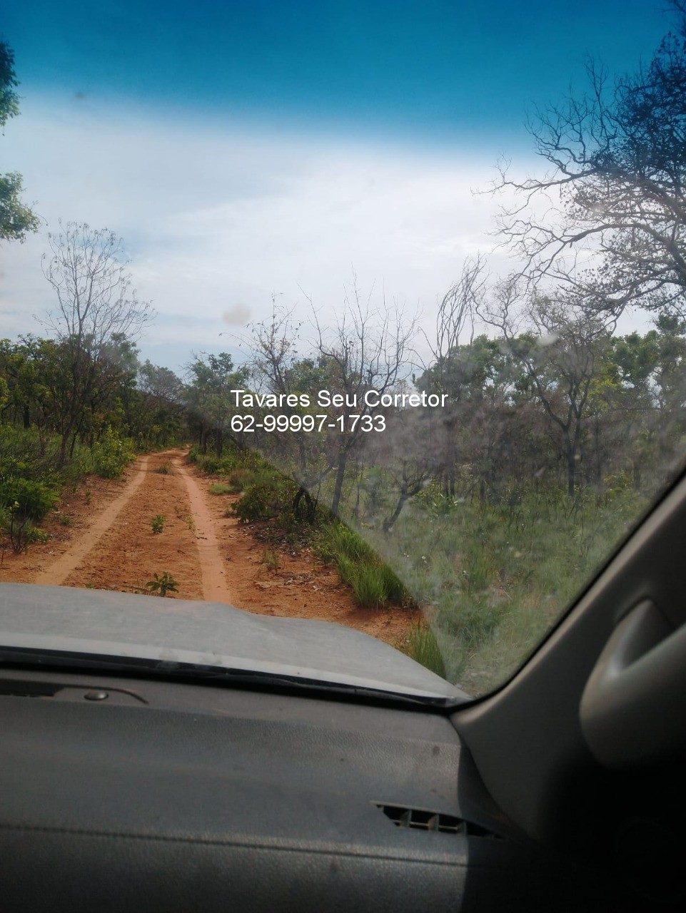 Fazenda - Foto 9