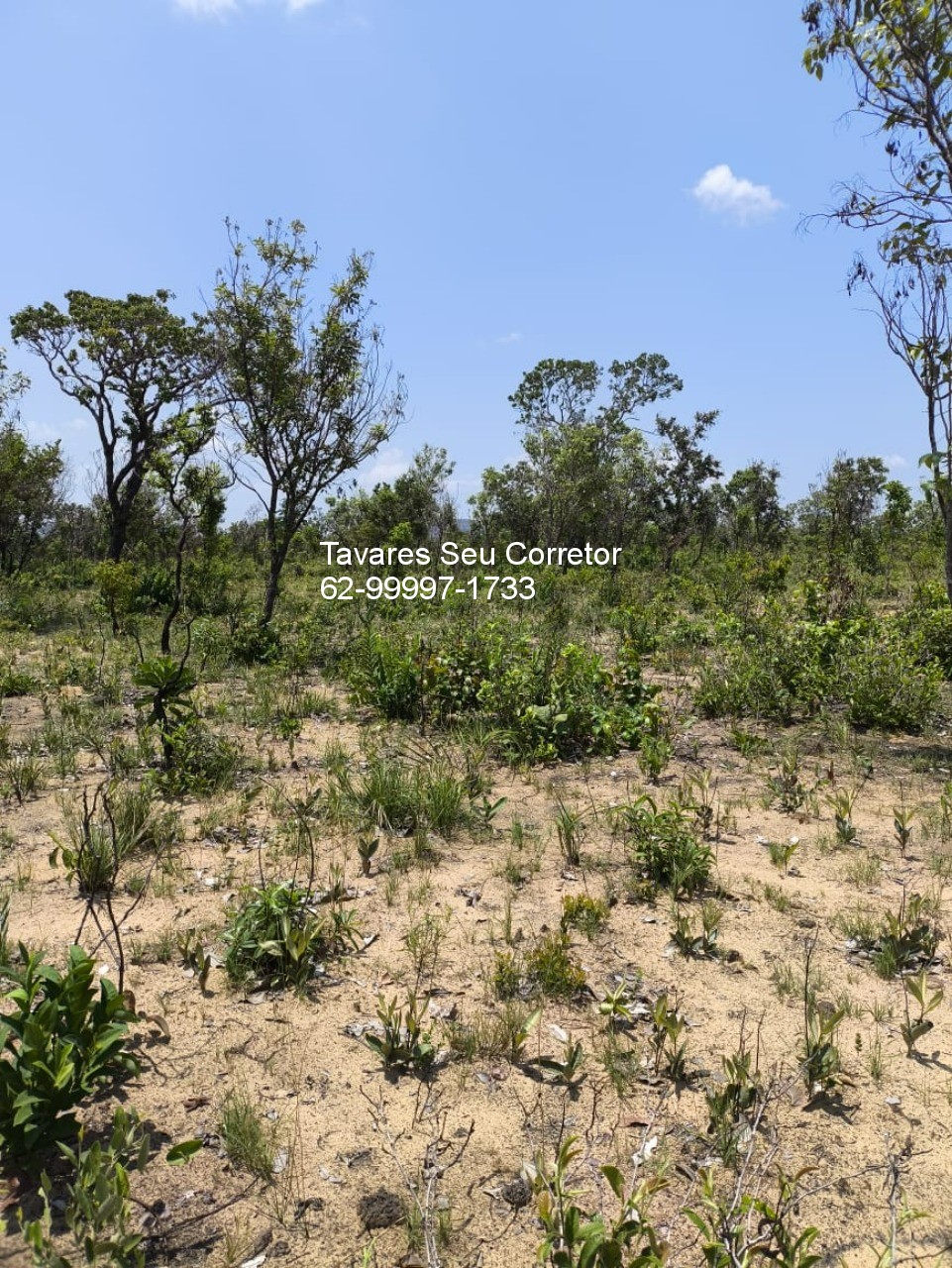 Fazenda - Foto 7