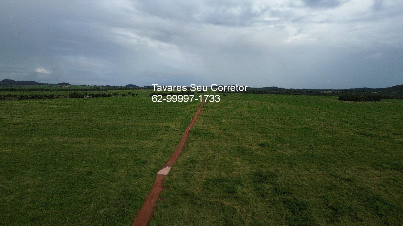 Fazenda - Foto 6